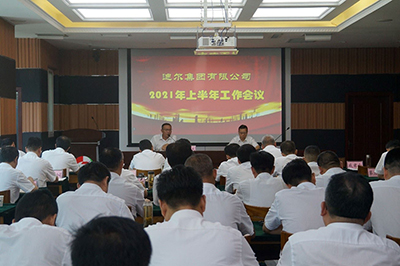 迪爾集團召開(kāi)2021年上半年工作會(huì )議